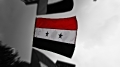 Syrian flag as seen during NAAP\'s NY street festival 2010