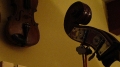 A Bass neck and a violin in Audubon Strings